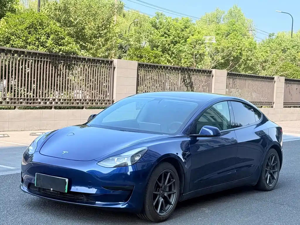 Tesla Model 3 2021 — фото 1