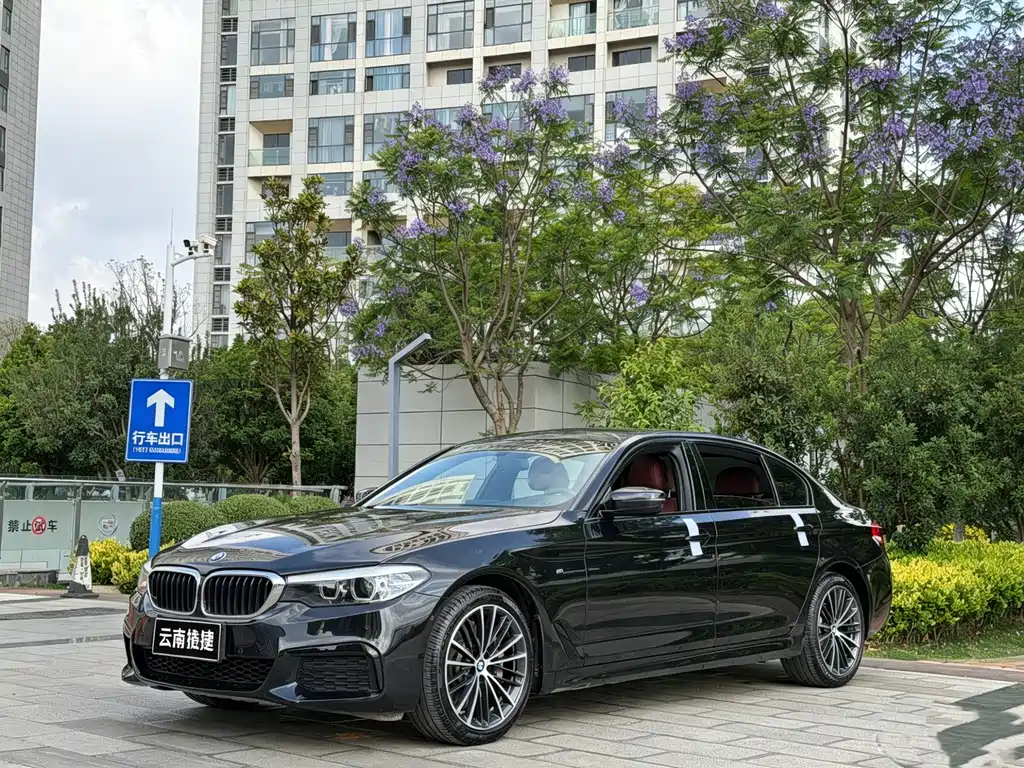 BMW 5 Series 2019 — фото 1
