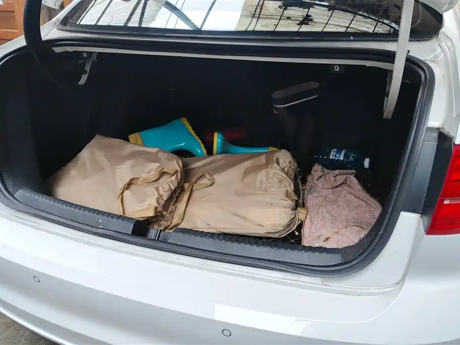 Volkswagen Sagitar 2019
