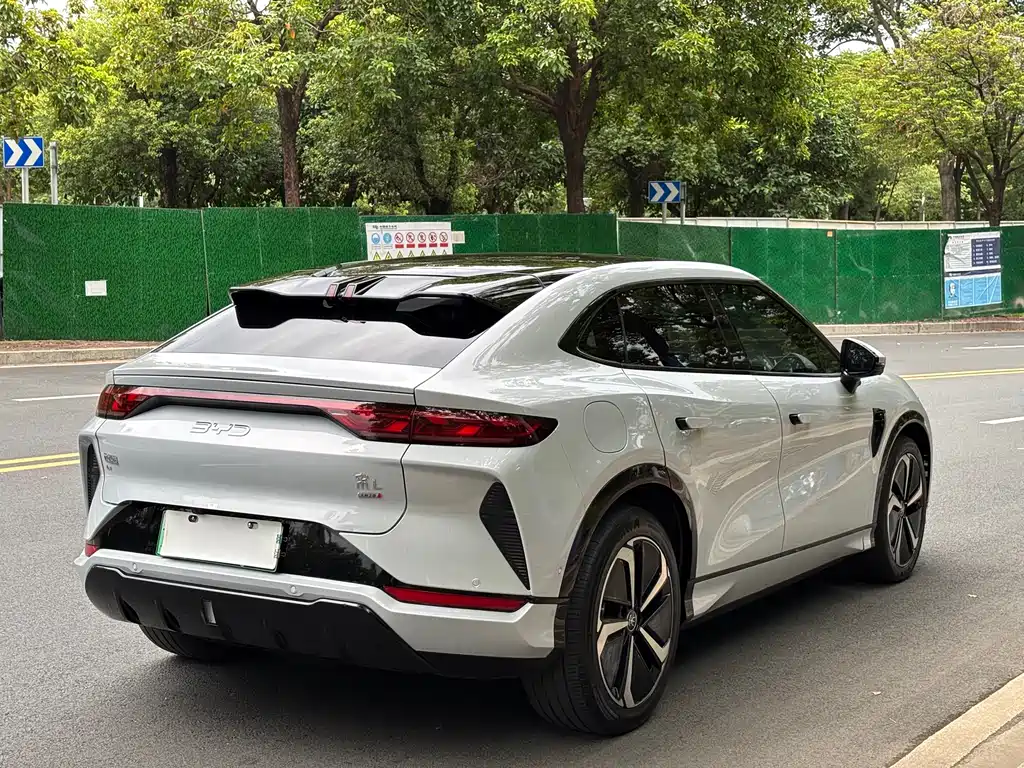 BYD L EV 2025 — фото 30