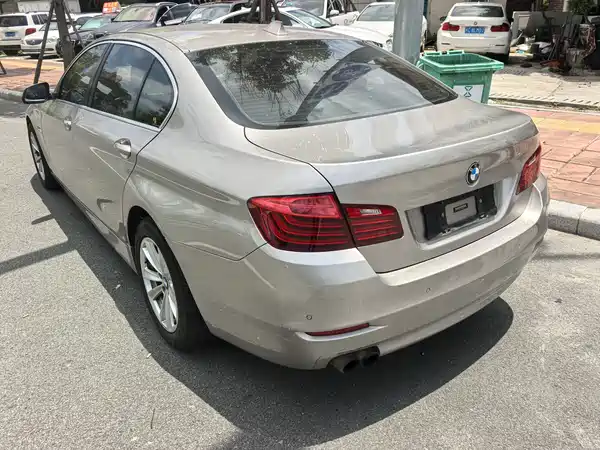 BMW 5 Series 2014