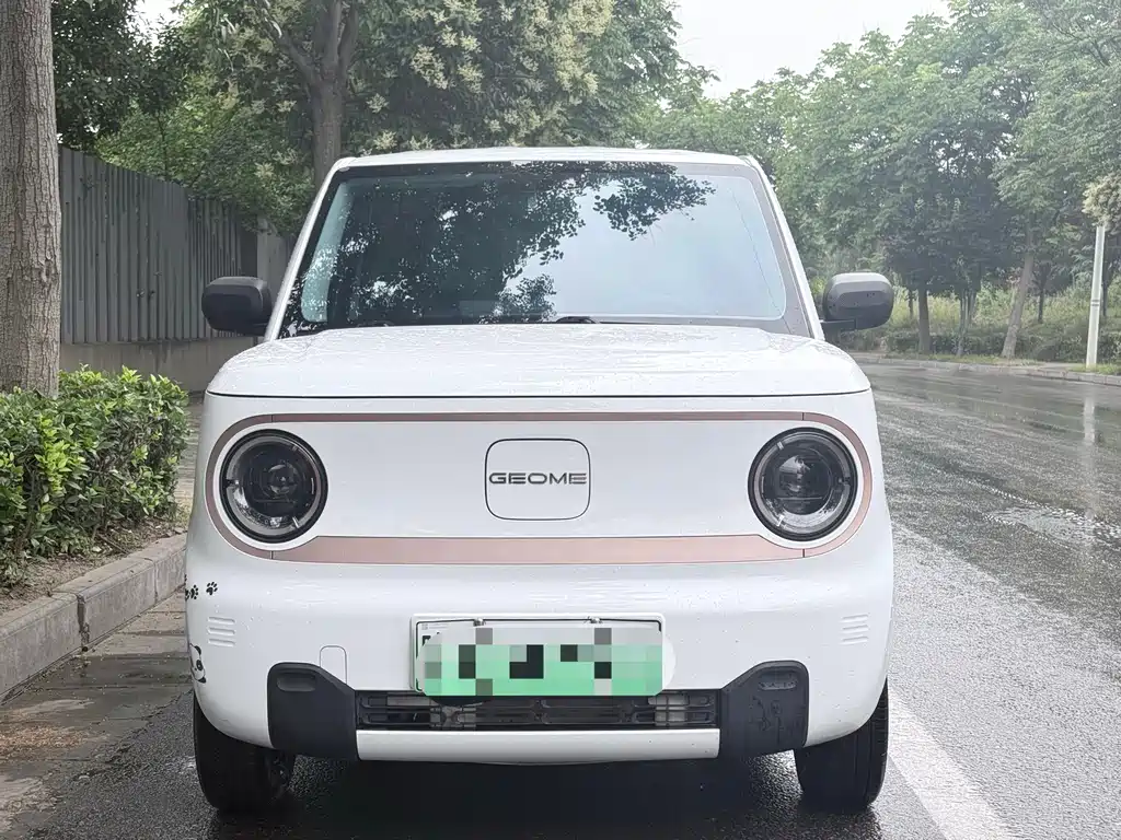 Galaxy Panda 2024