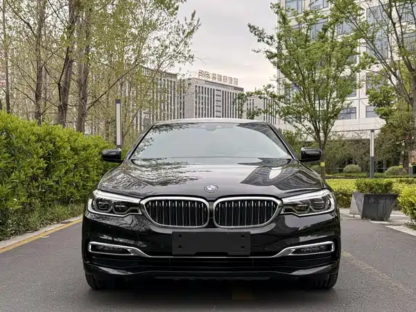 BMW 5 Series New Energy 2019