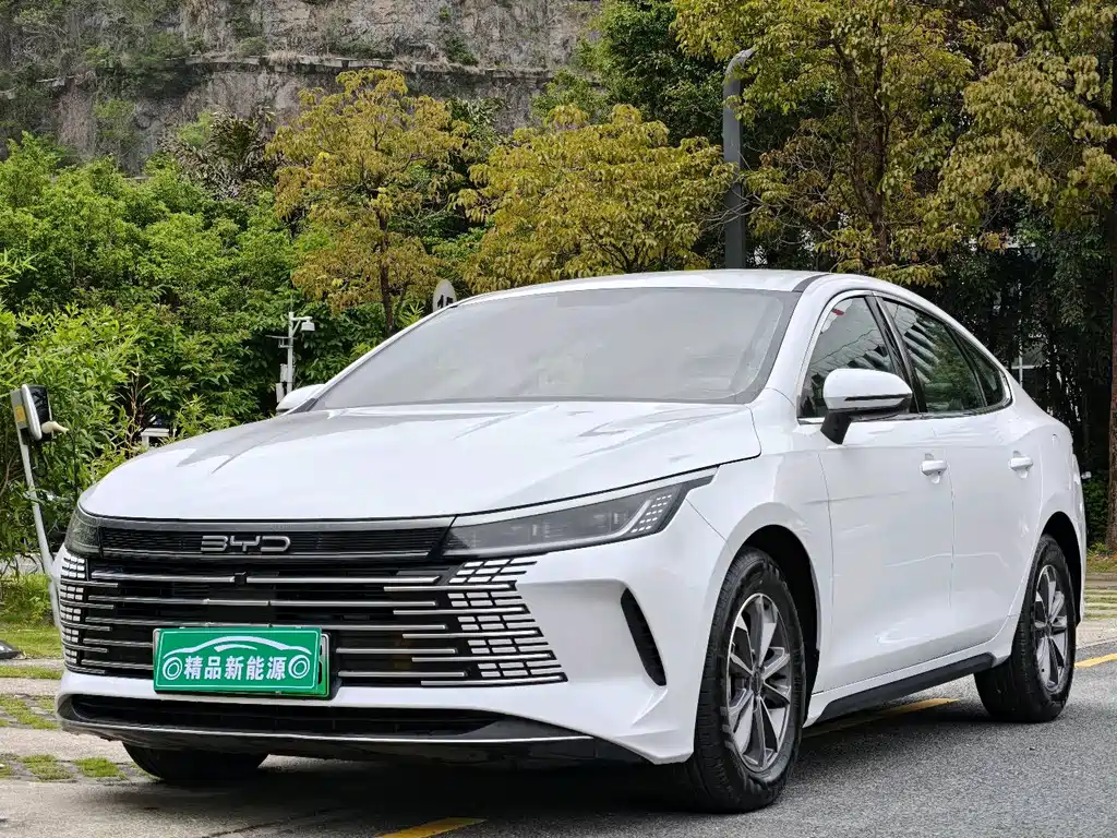 BYD Destroyer 05 2024