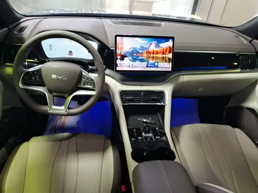 BYD Song PLUS New Energy 2025 — фото 10