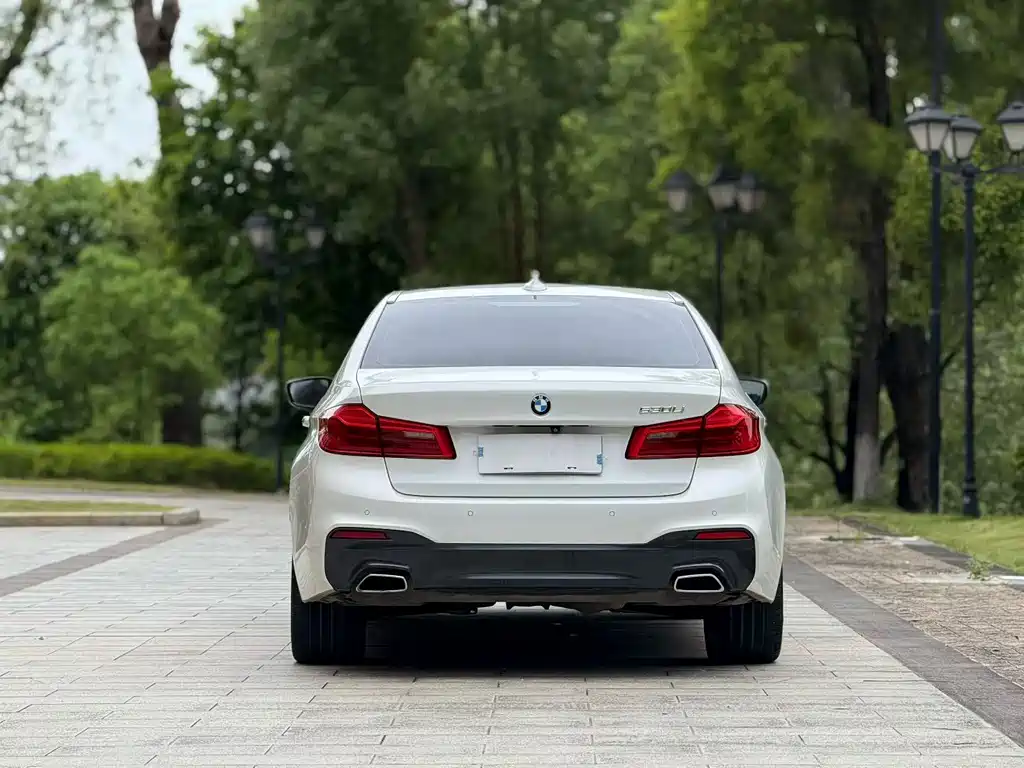 BMW 5 Series 2018 — фото 8