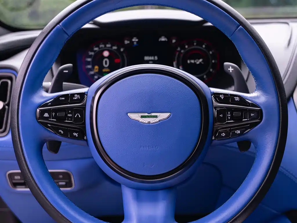Aston Martin DBX 2022 — фото 13