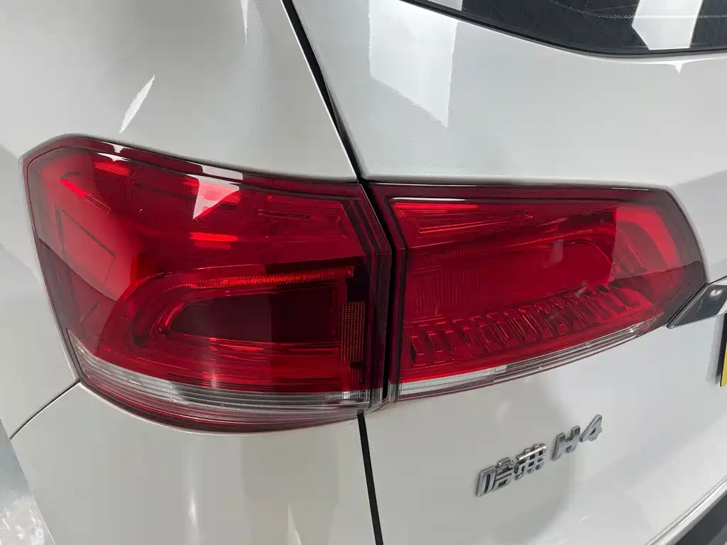 Haval H4 2019 — фото 16