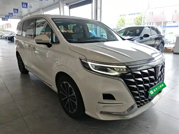 Roewe iMAX8 2024