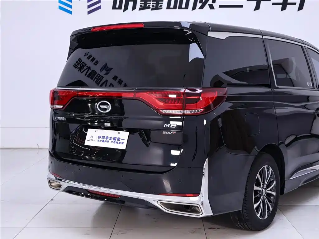 GAC Motor Trumpchi M8 2024 — фото 8