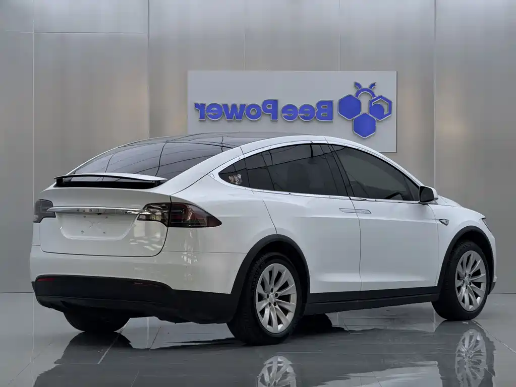Tesla Model X 2016 — фото 6