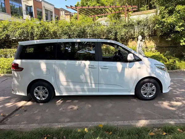 Maxus G10 2019