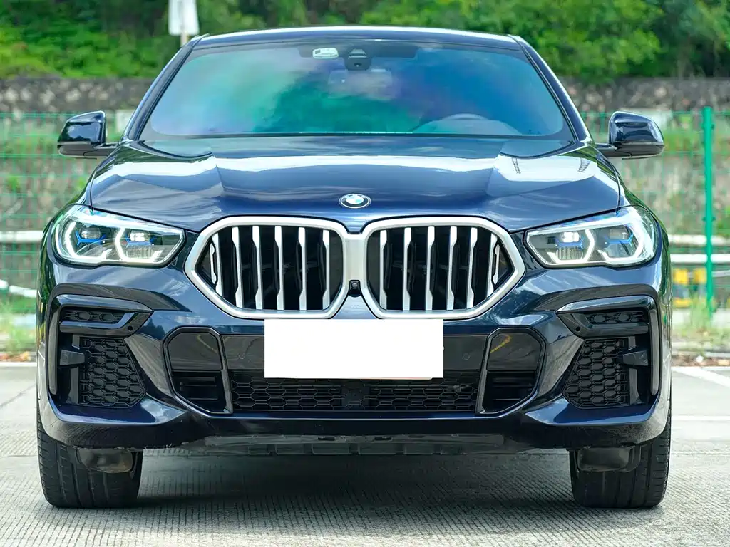 BMW X6 2022