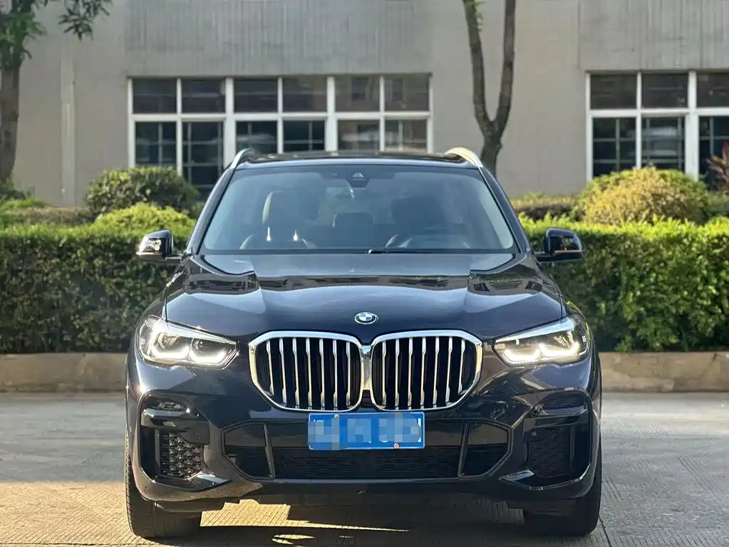 BMW X5 2021 — фото 2