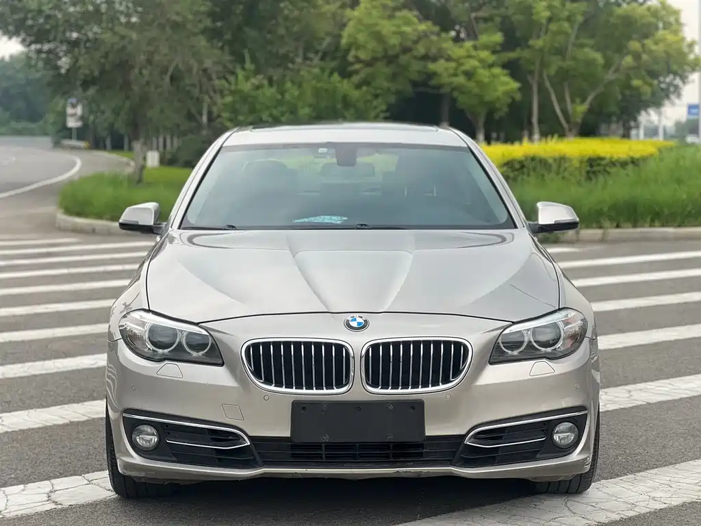 BMW 5 Series 2015