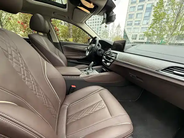 BMW 5 Series New Energy 2019