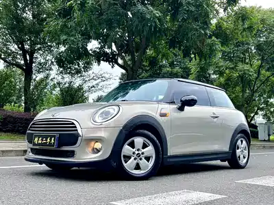 MINI MINI 2015
