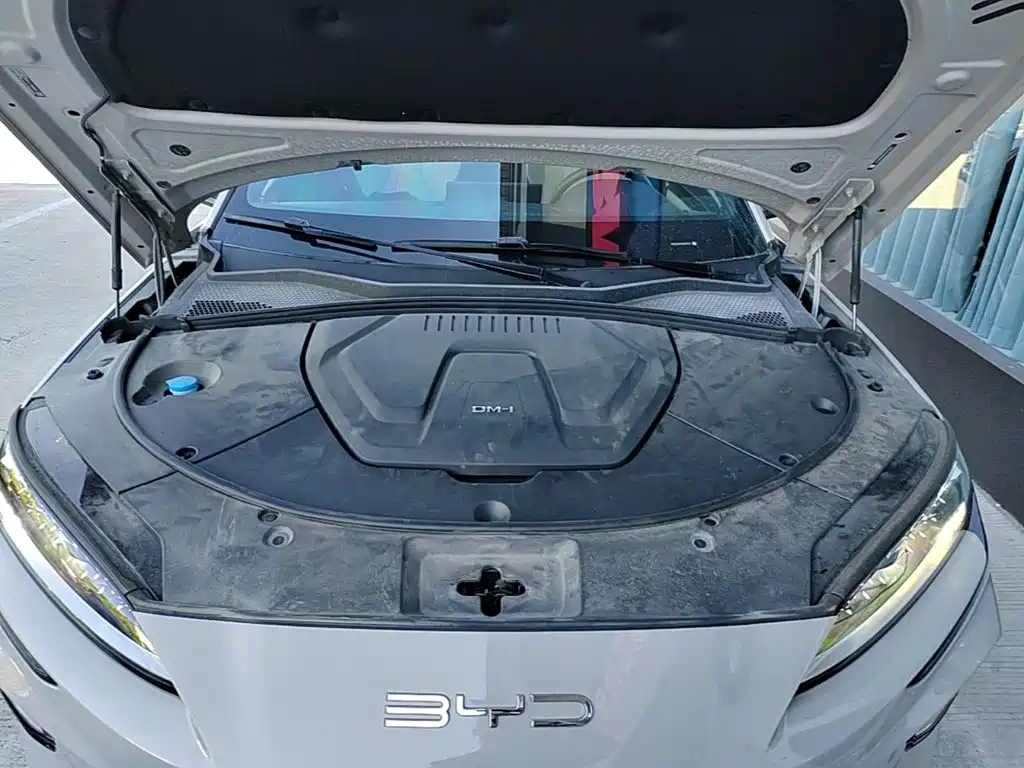 BYD Song PLUS New Energy 2023 — фото 20