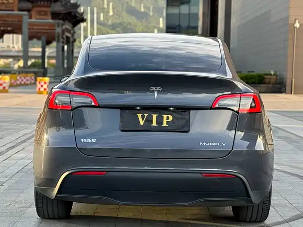 Tesla Model Y 2021