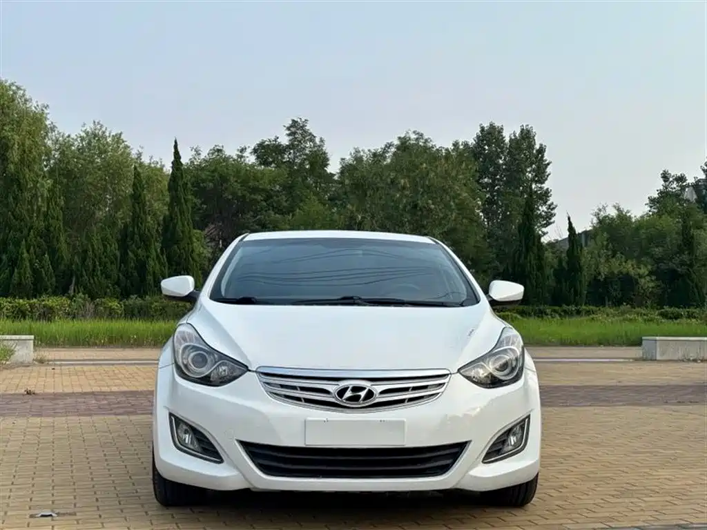 Hyundai Elantra Langdong 2014 — фото 2