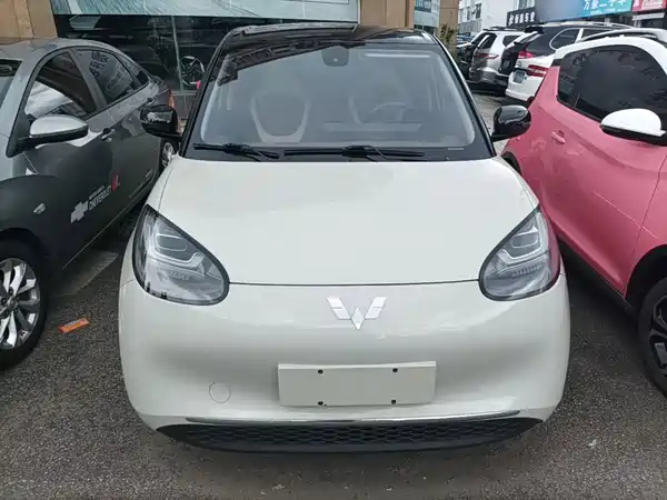 Wuling Bingo 2024