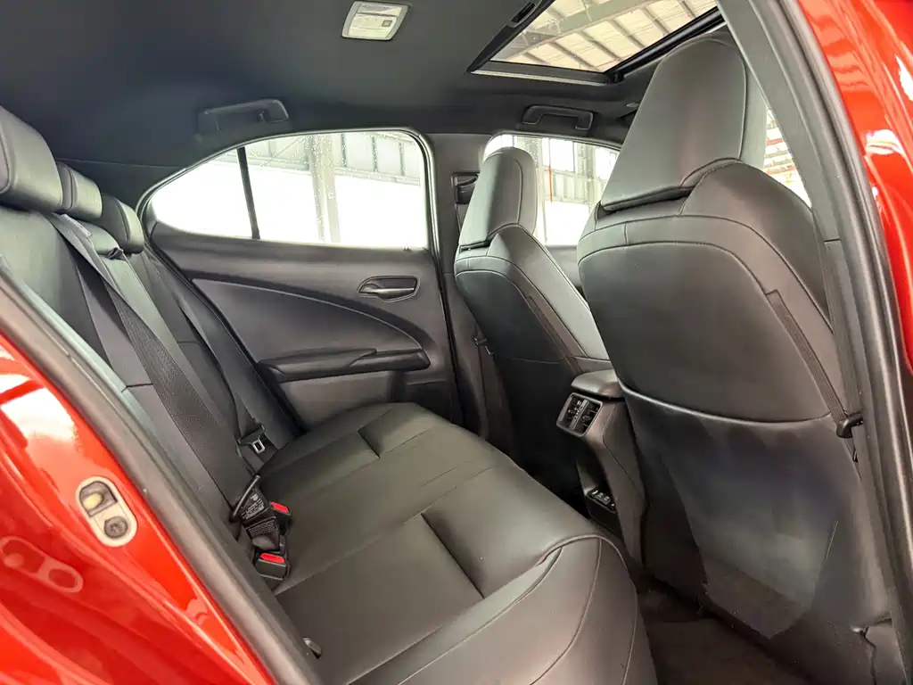 Lexus UX New Energy 2020 — фото 9