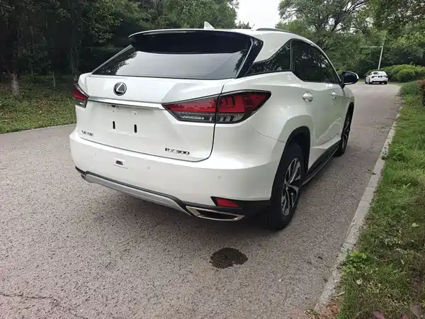 Lexus RX 2020