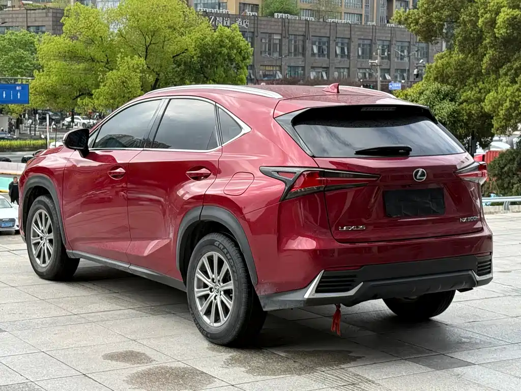 Lexus NX 2020 — фото 21