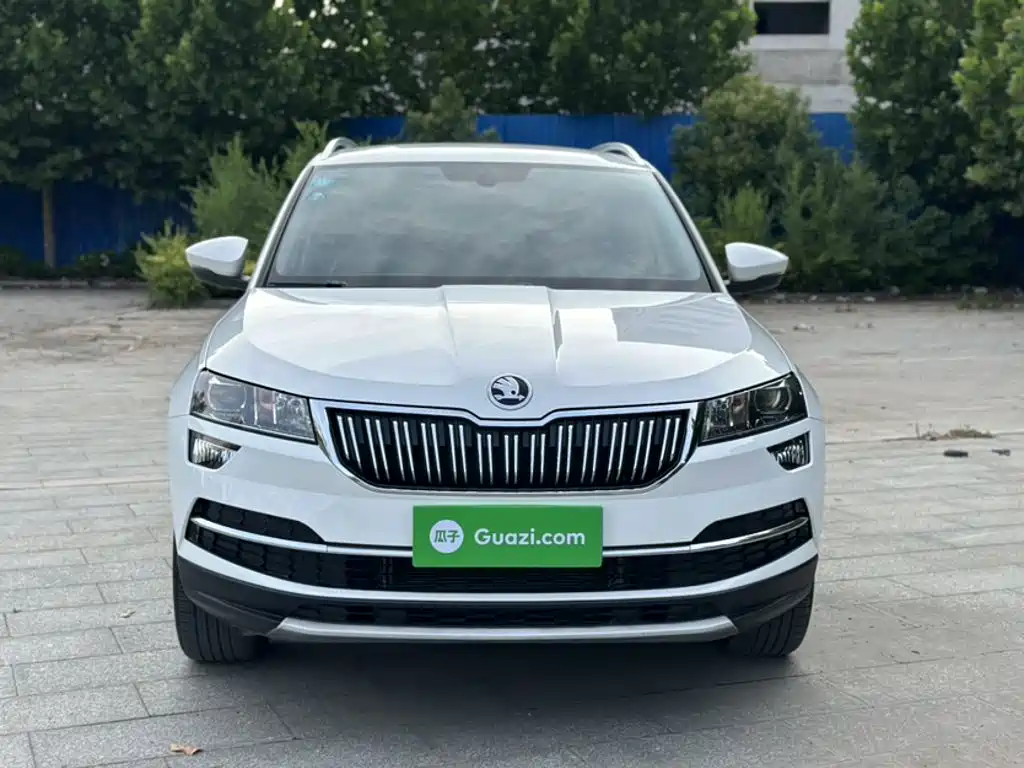 Skoda Karoq 2020 — фото 13