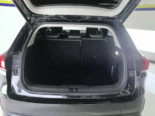 Wey VV6 2019
