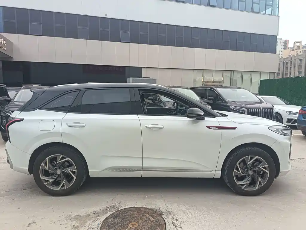Hongqi HS3 PHEV 2024 — фото 4