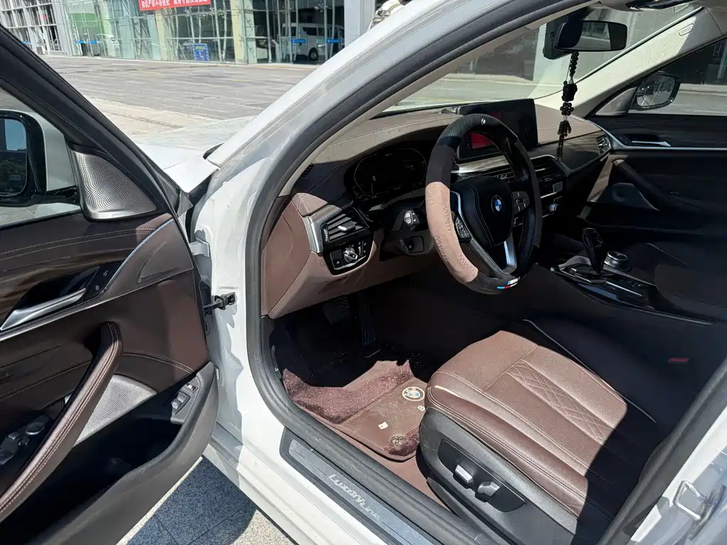 BMW 5 Series New Energy 2021