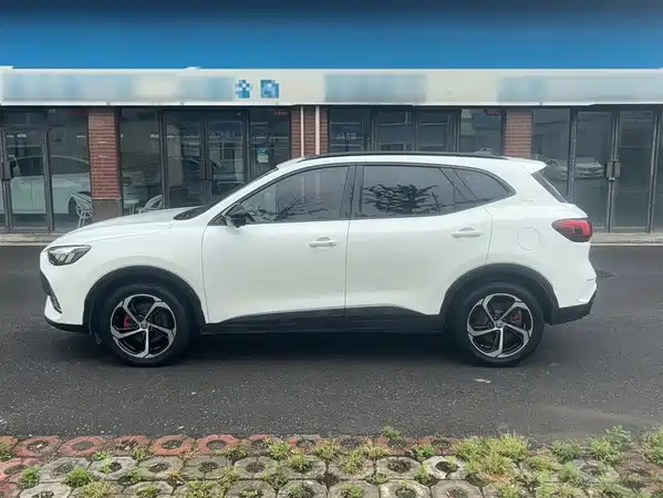 MG Pilot 2021