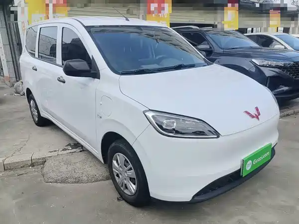 Wuling Hongguang New Energy 2024
