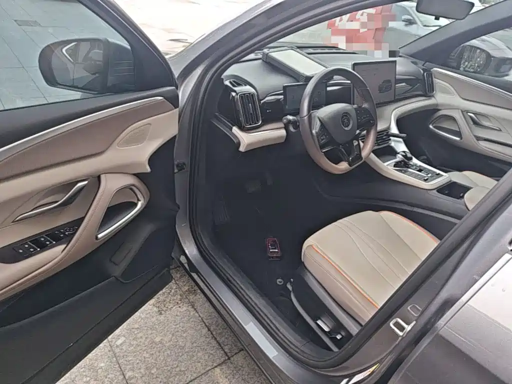BYD Song Pro New Energy 2024 — фото 16