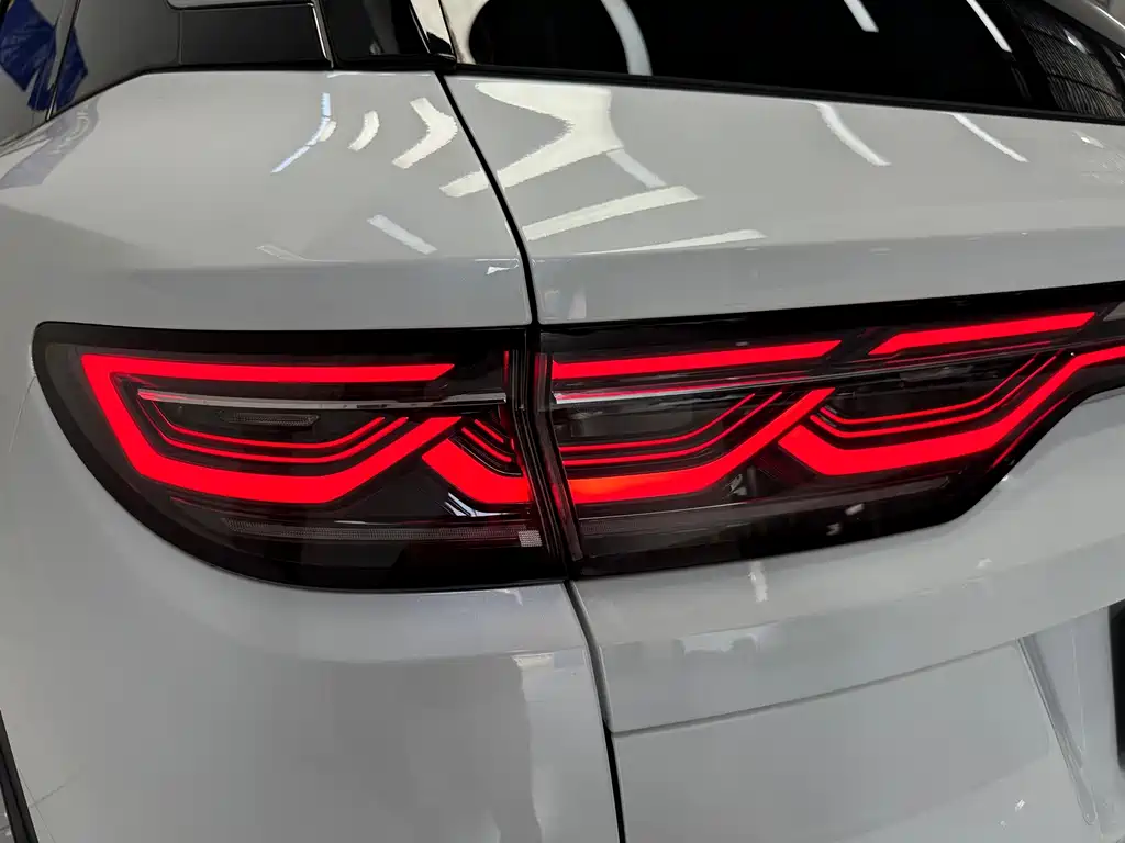 BYD Song L DM-i 2025 — фото 19