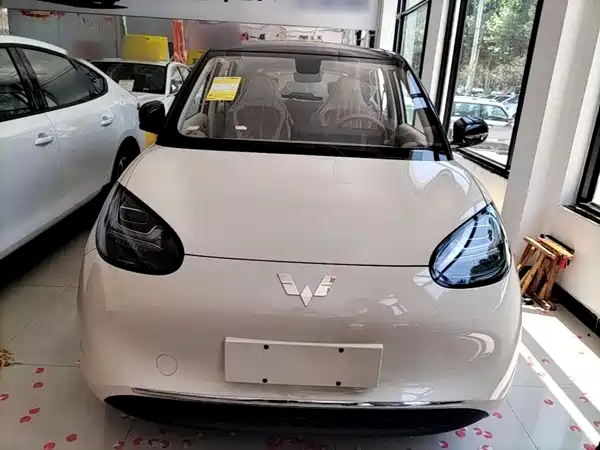 Wuling Bingo 2026