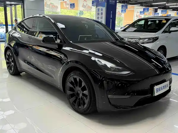 Tesla Model Y 2021