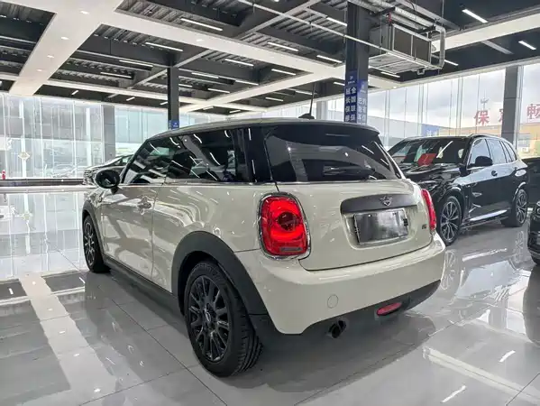 MINI 2018