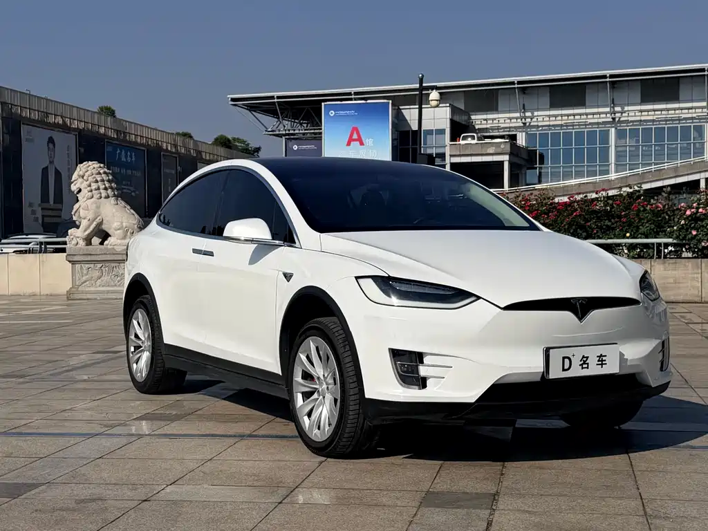 Tesla Model X 2017 — фото 16