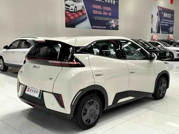BYD Seagull 2026