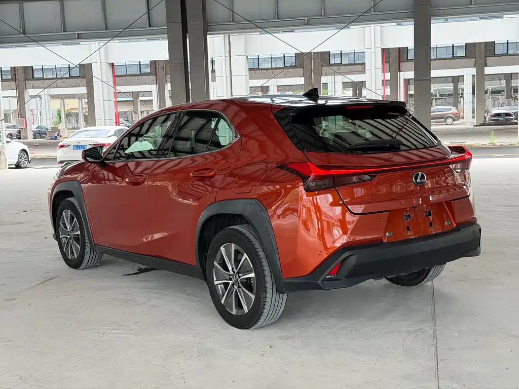 Lexus UX New Energy 2020 — фото 12