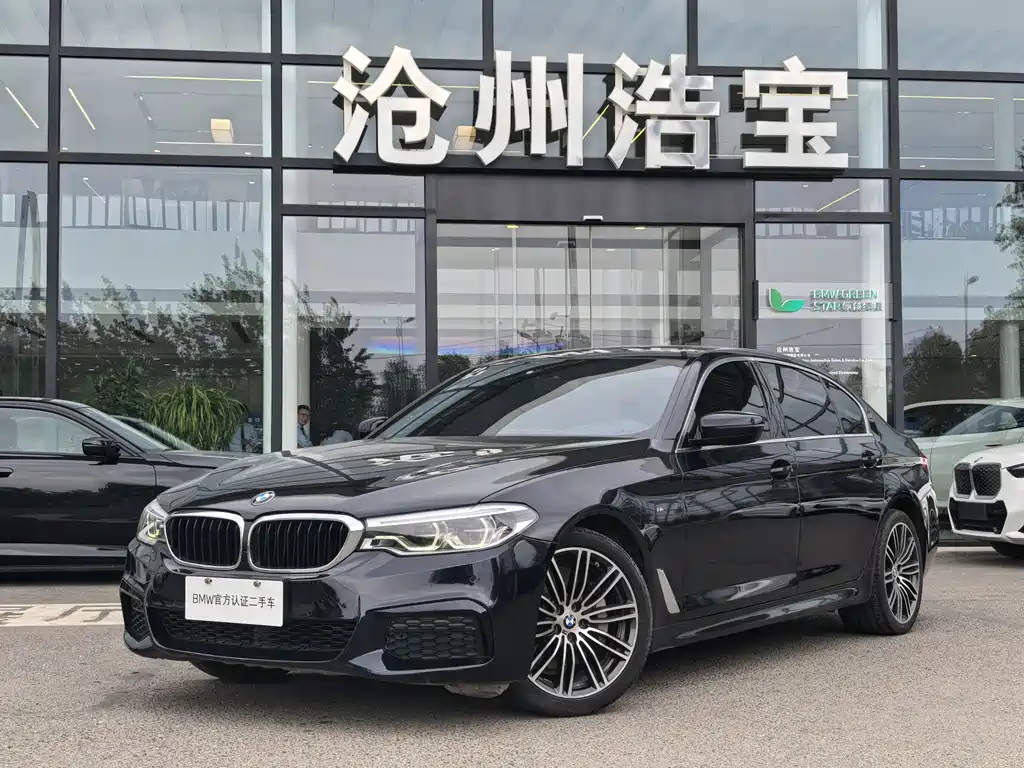 BMW 5 Series 2019 — фото 1