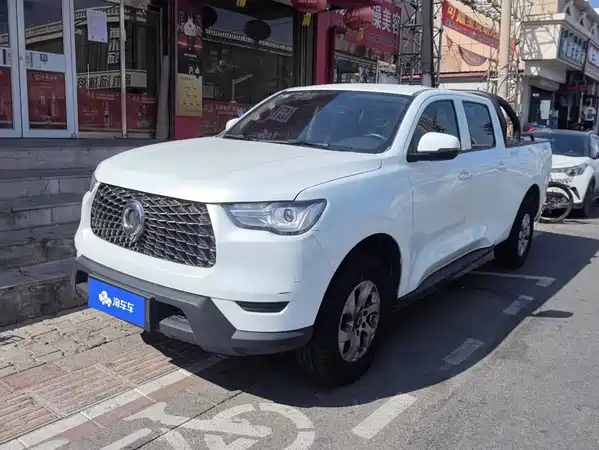 Great Wall Poer 2021