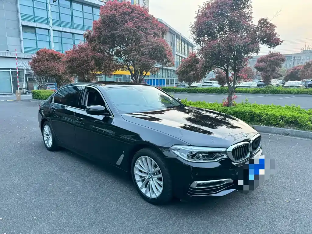BMW 5 Series New Energy 2019