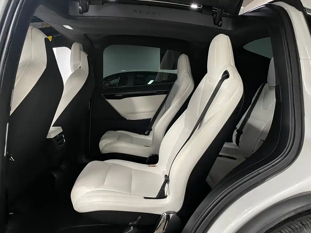 Tesla Model X 2018 — фото 6