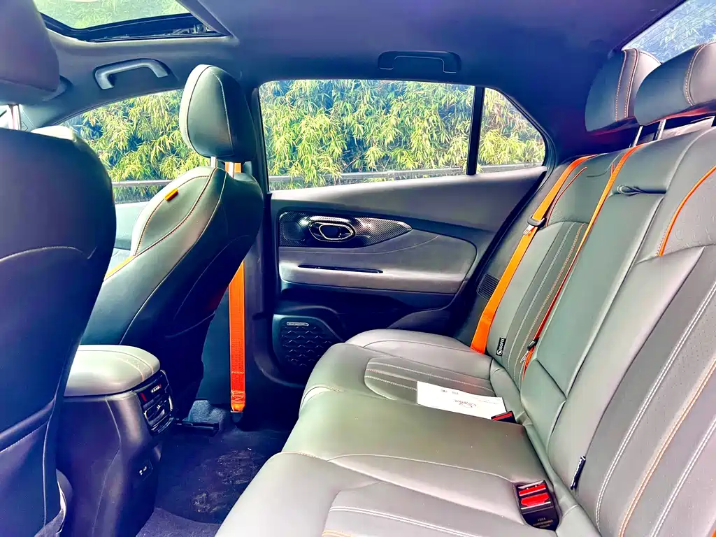 GAC Motor Shadow Leopard 2023 — фото 11