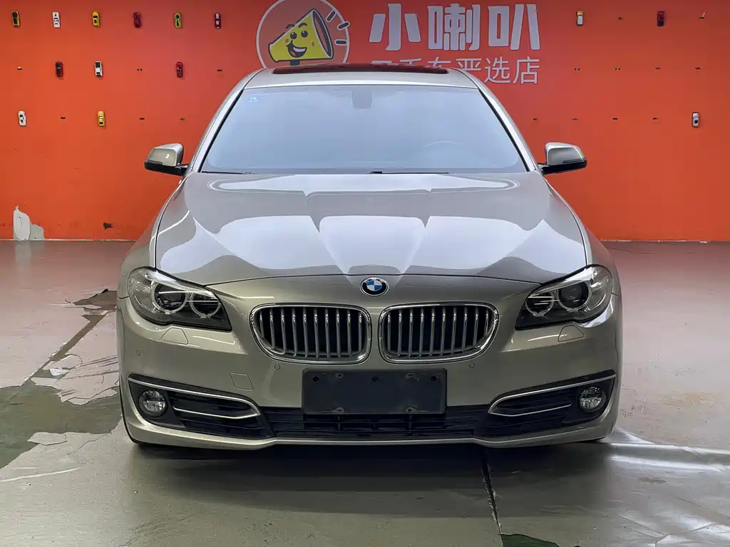 BMW 5 Series 2014