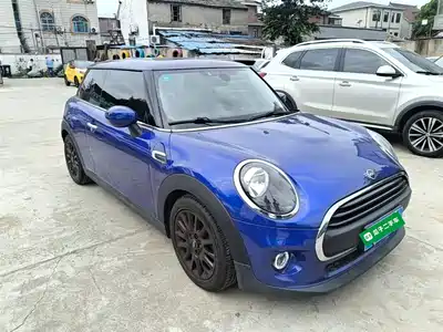 MINI MINI 2019