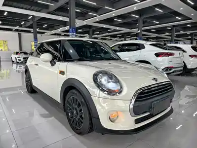 MINI MINI 2018